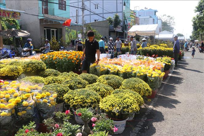 Chợ hoa Tết Sa Đéc