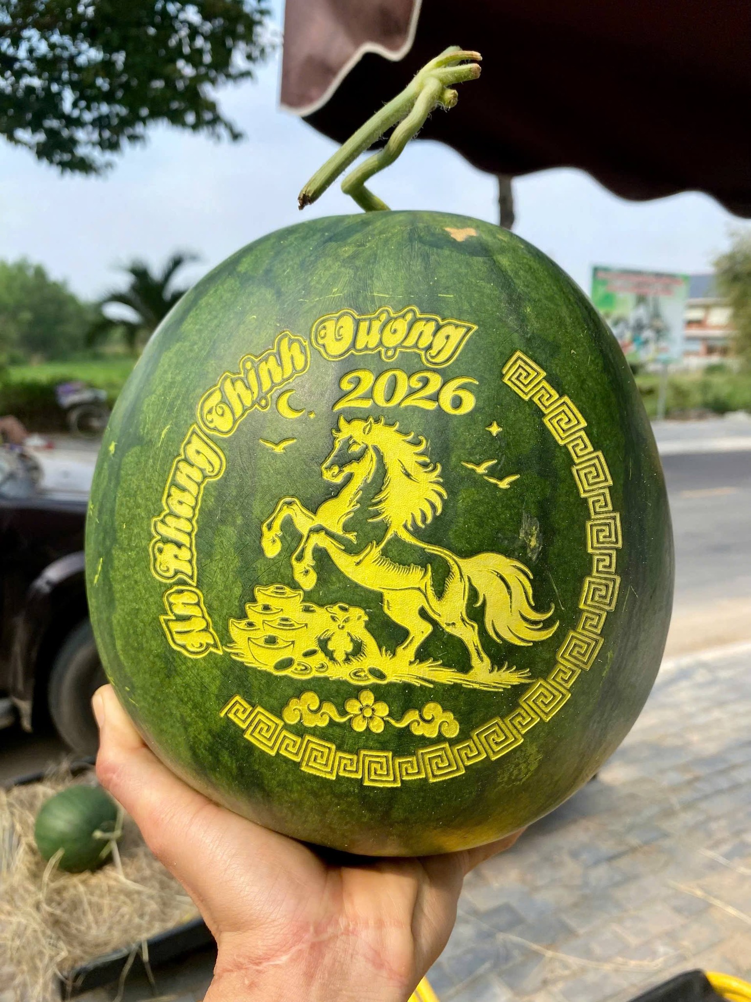 Dưa hấu và mứt Tết