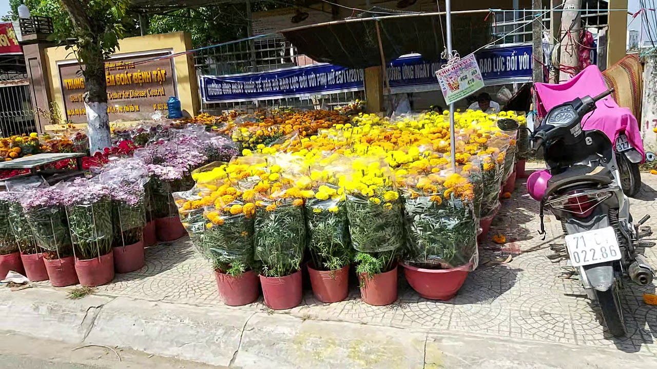 Đi chợ mua hoa cùng mẹ